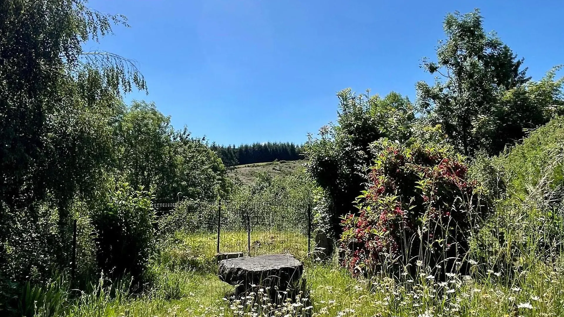 Holiday home Maison En Pierres Avec Cheminee Et Jardin - Proche St-Paulien - Fr-1-582-305 Saint-Geneys-pres-Saint-Paulien France